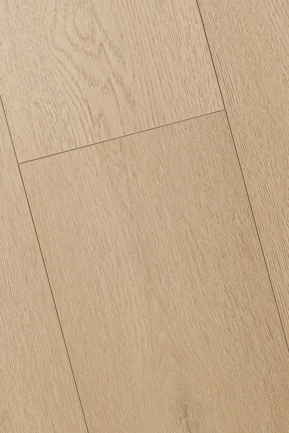 Дуб Одалиска | Odalisque oak 1F426