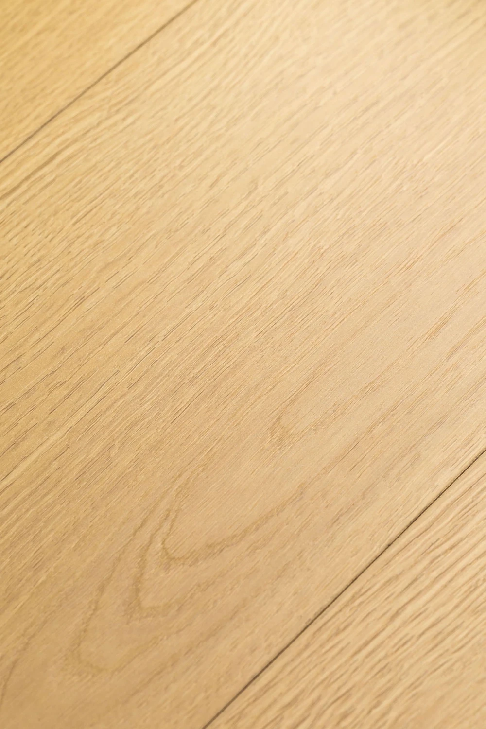Дуб Церера | Cerera oak 1F416