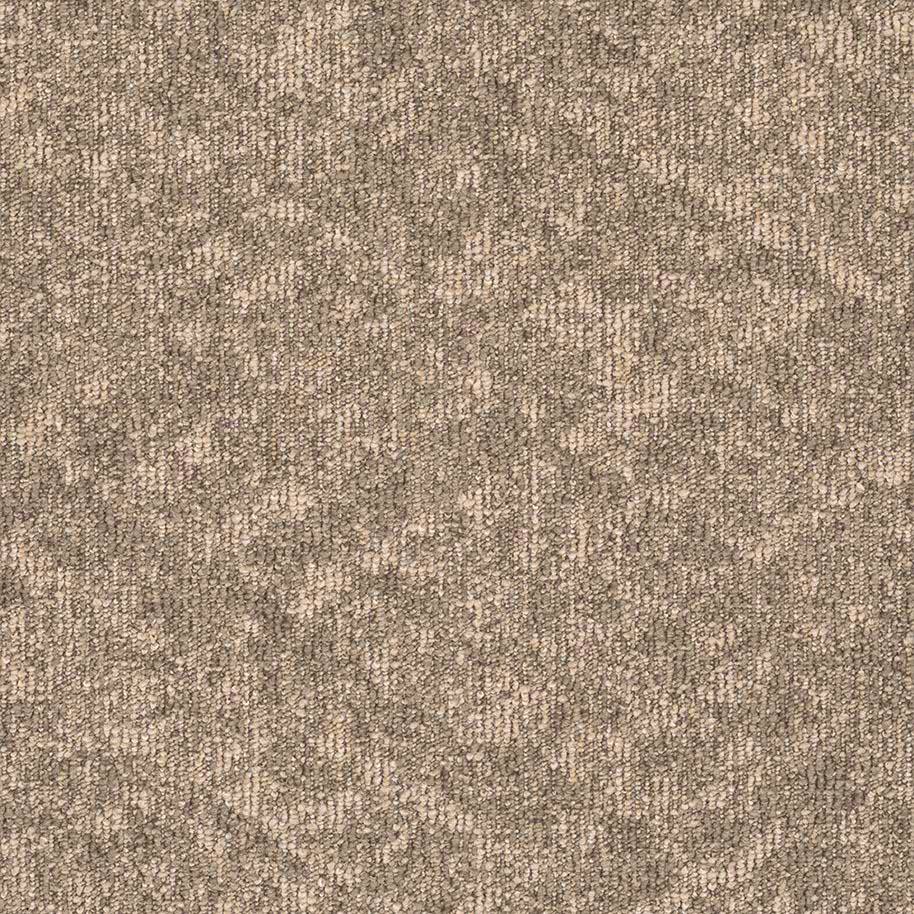 Beige 619332