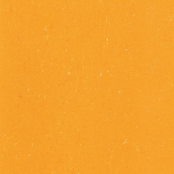 137-171 sunrise orange