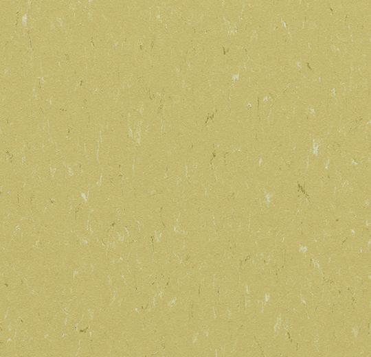 363435 meadow