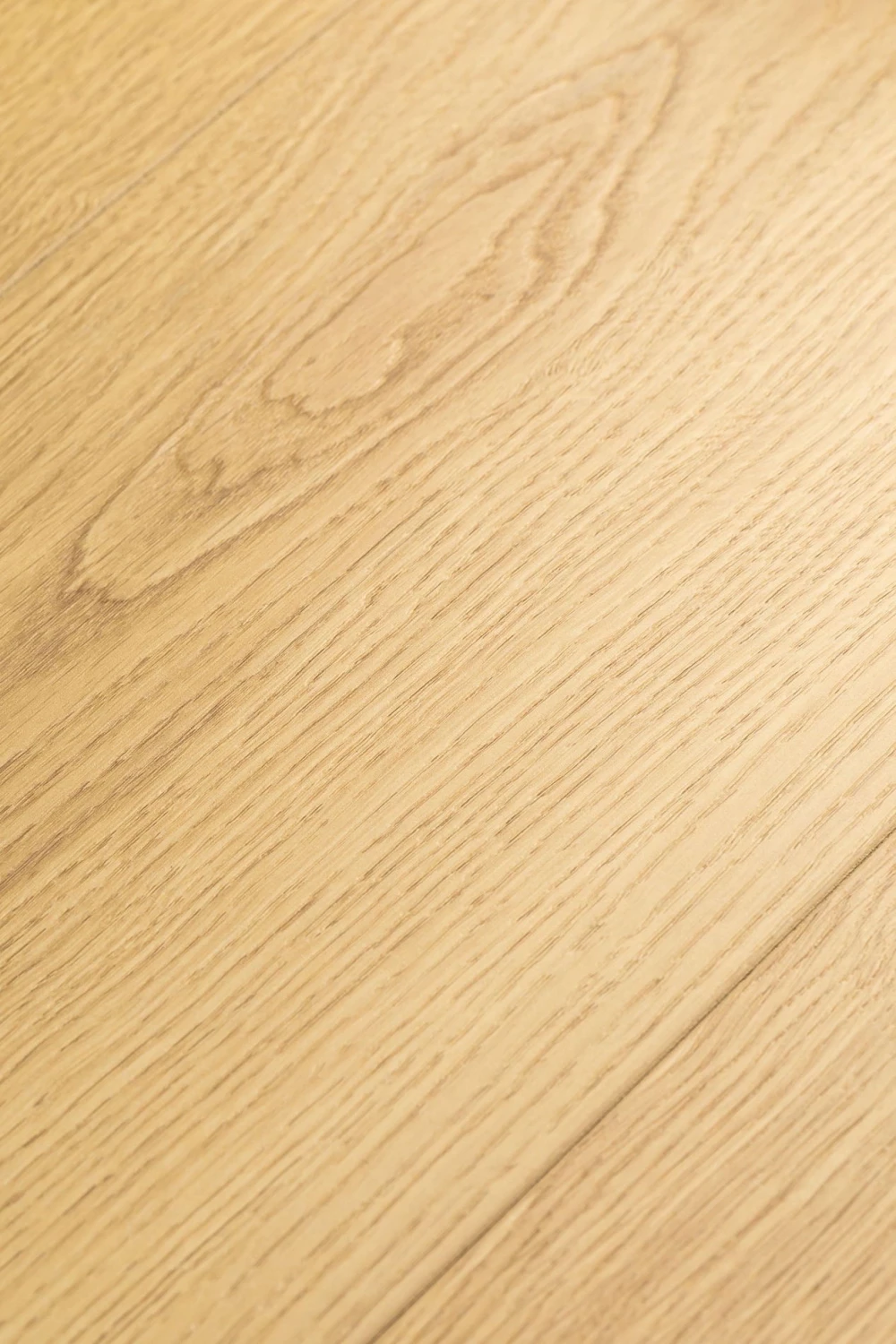 Дуб Церера | Cerera oak 1F416