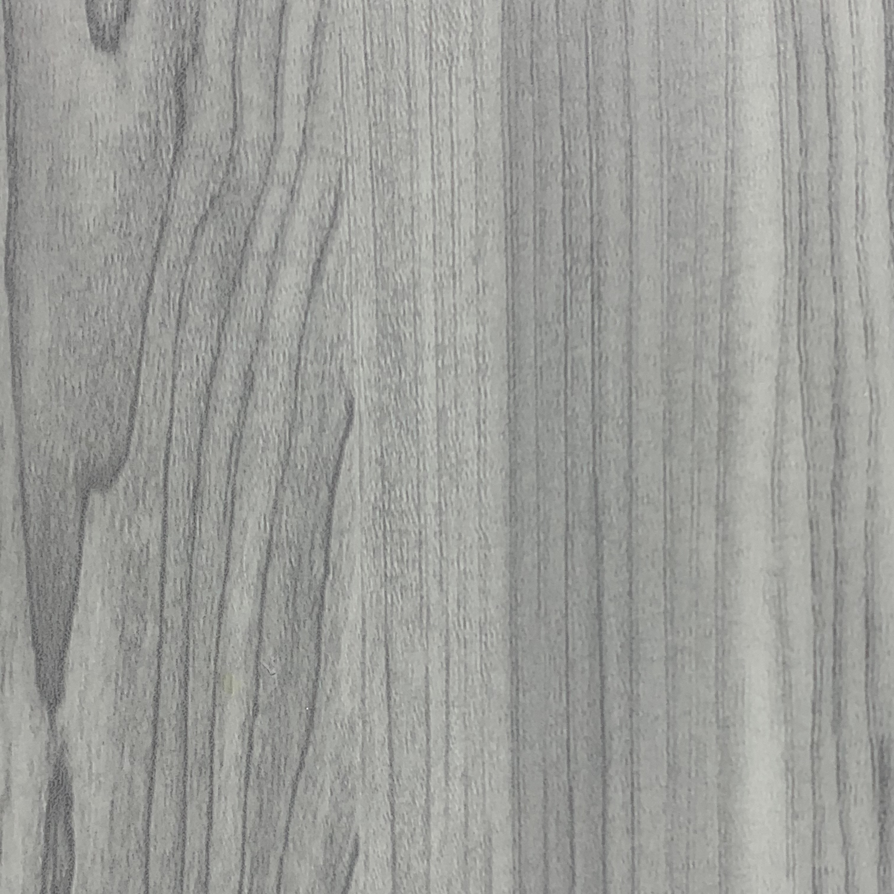 Grey Maple (Серый клен)