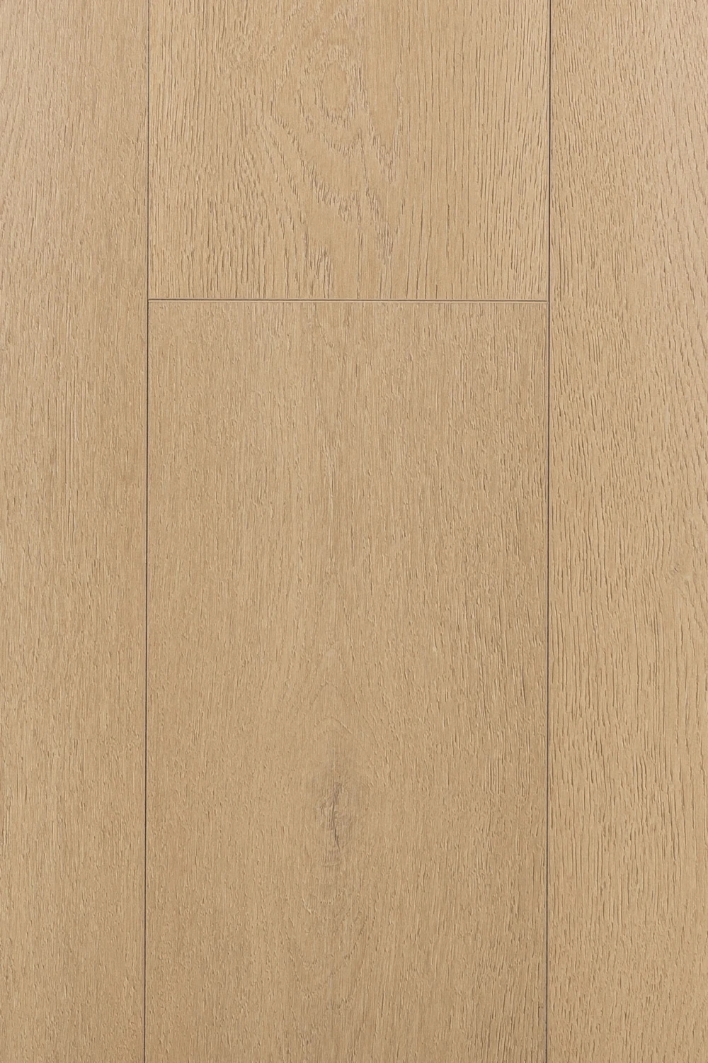 Дуб Одалиска | Odalisque oak 1F426