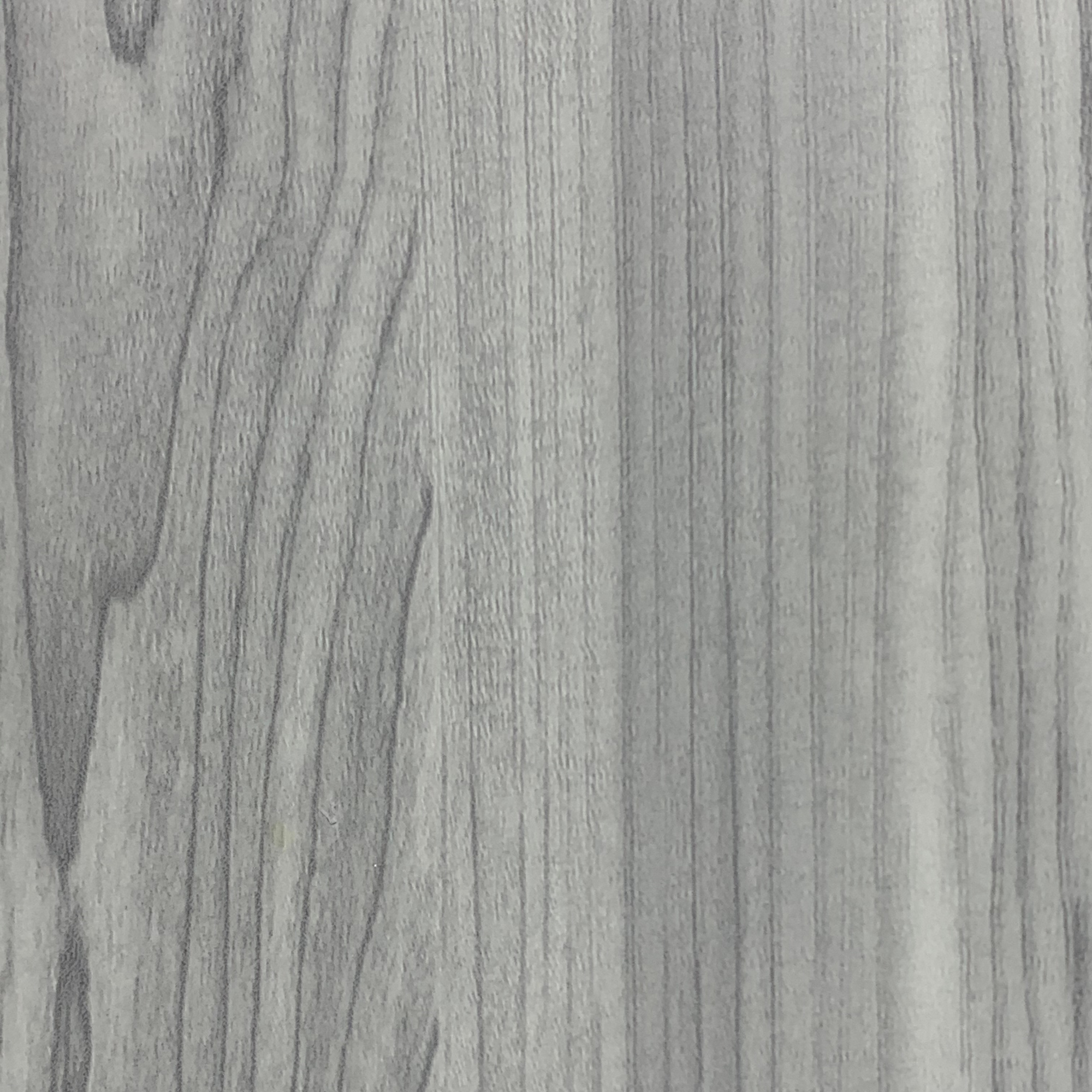 Grey Maple (Серый клен)