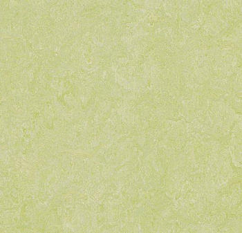388135 green wellness